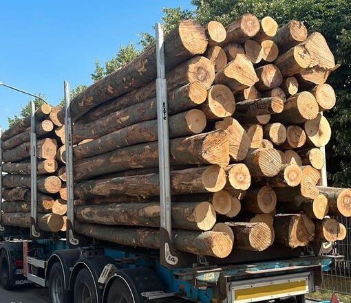 Buchenstammholz – Komplette LKW-Ladung 50 Raummeter – PEFC-zertifiziert